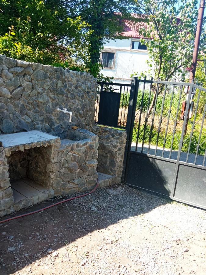 Guest House Junona マヒンジャウリ エクステリア 写真