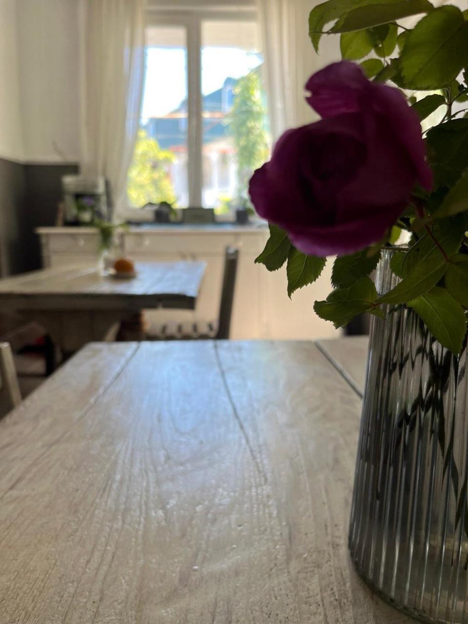 Guest House Junona マヒンジャウリ エクステリア 写真