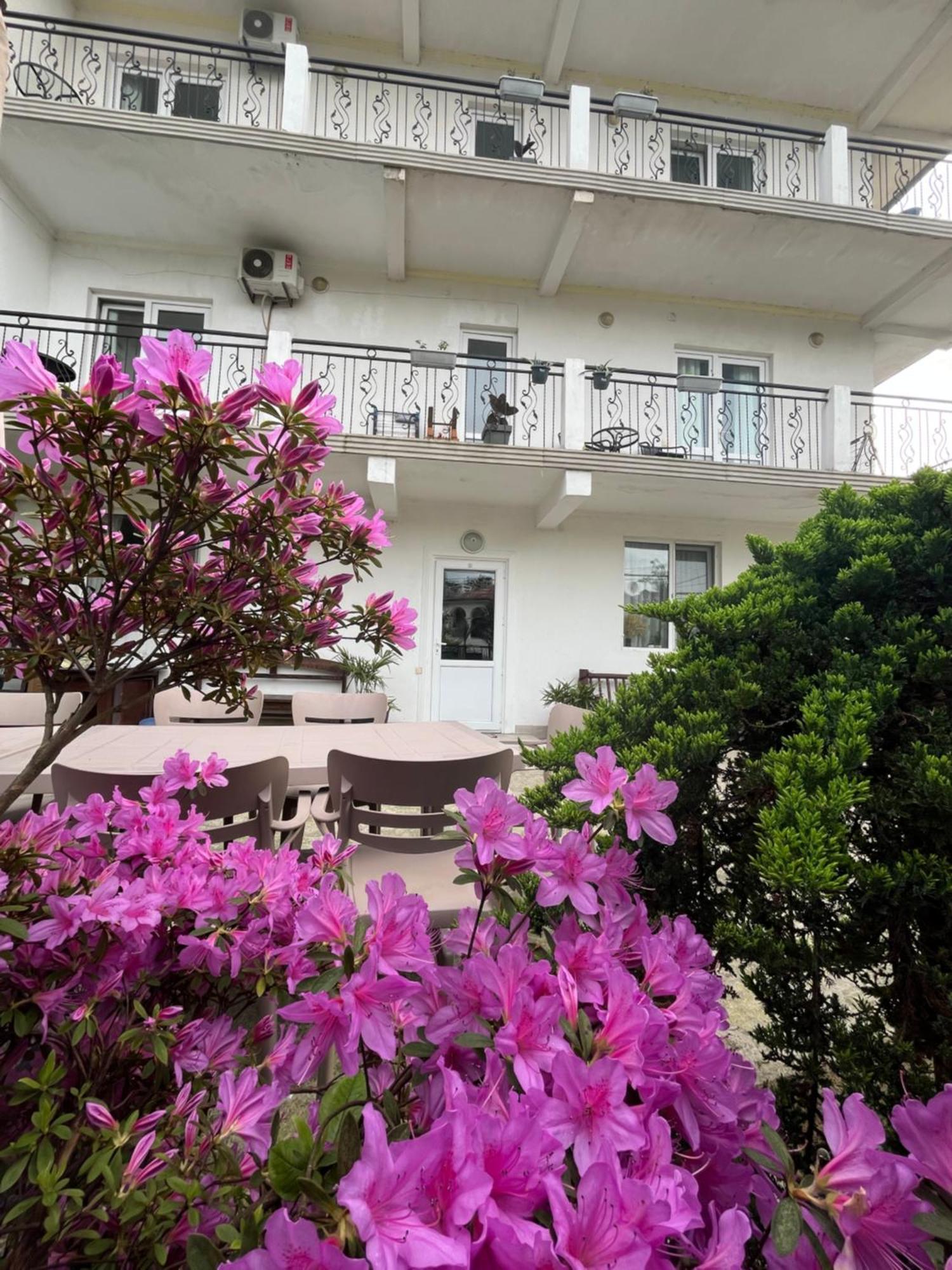 Guest House Junona マヒンジャウリ エクステリア 写真